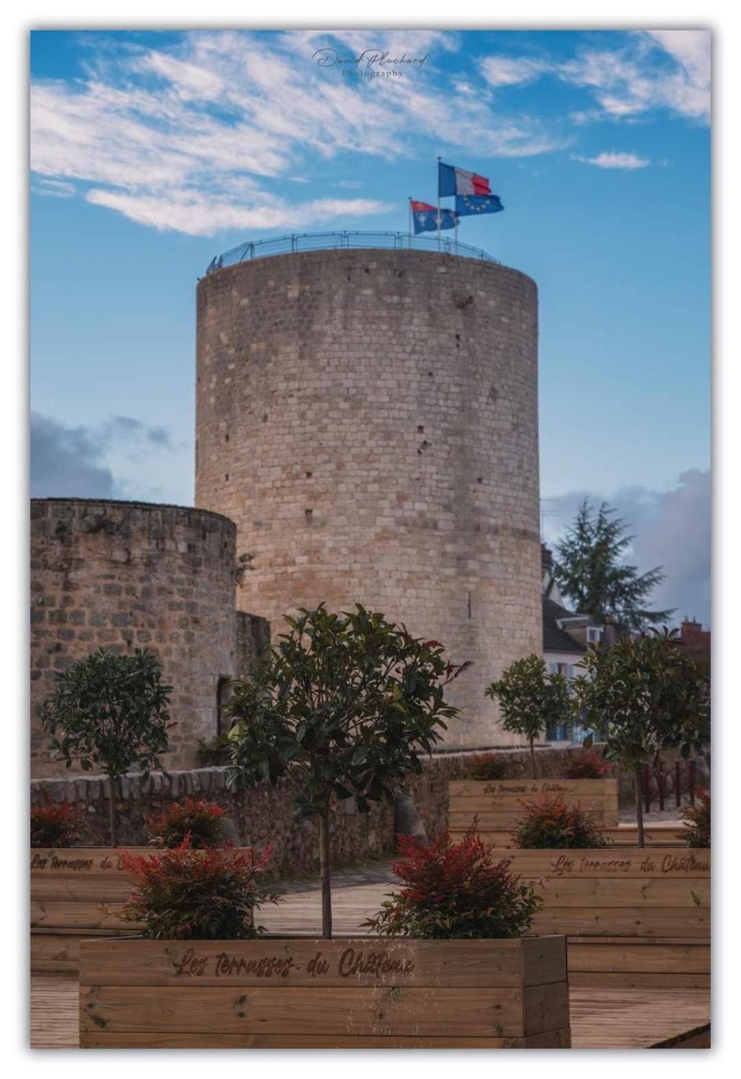 Chambre D'Hote Du Chateau Dourdan Exteriér fotografie