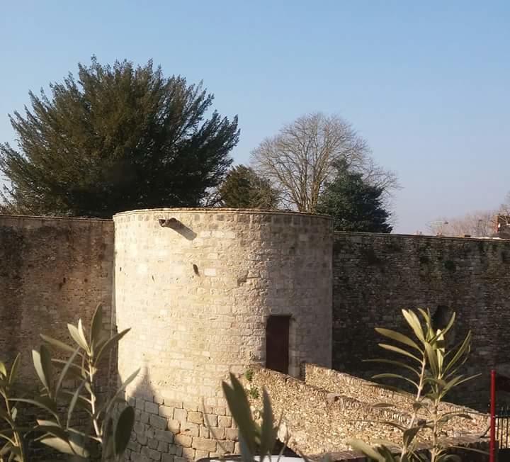 Chambre D'Hote Du Chateau Dourdan Exteriér fotografie